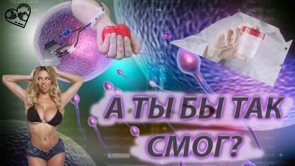 Как узнать интересные факты о миссионерах добрых дел и их влиянии